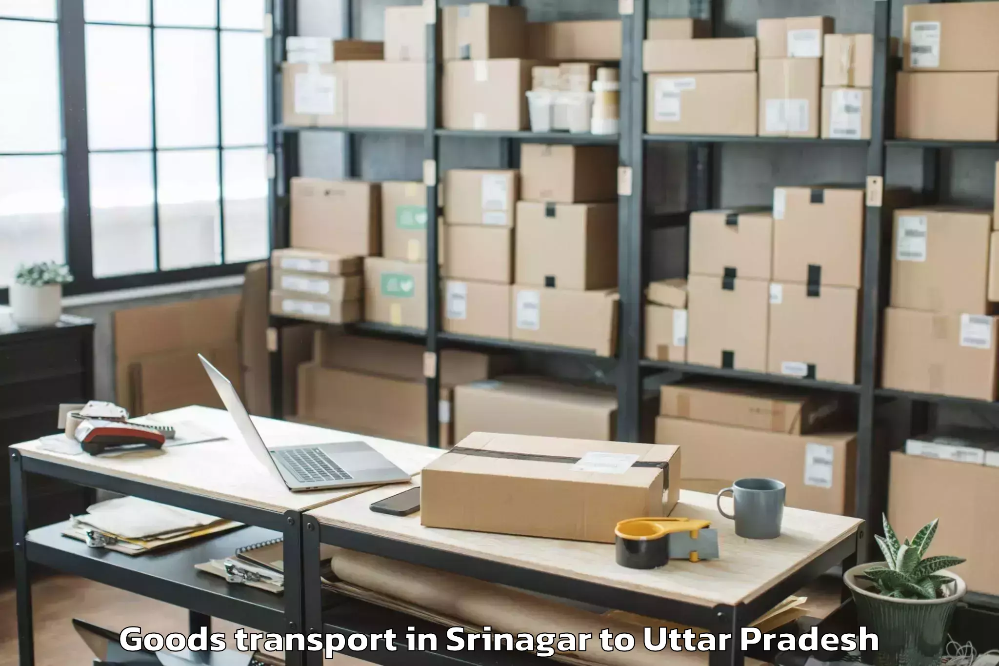 Book Srinagar to Modinagar Goods Transport Online